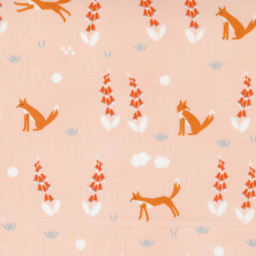 Foxes in Blush | Meander