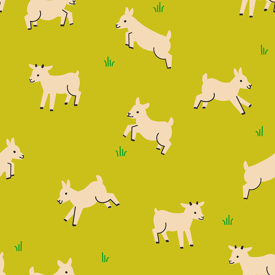 Baby Goats in Pistachio | Animal Animal