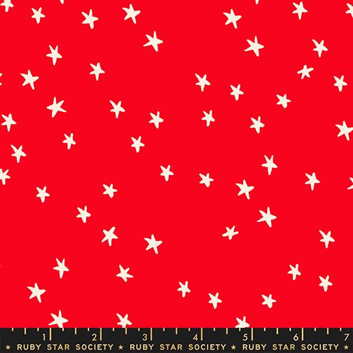 Ladybug | Starry
