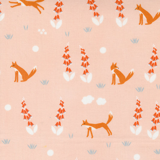 Foxes in Blush | Meander