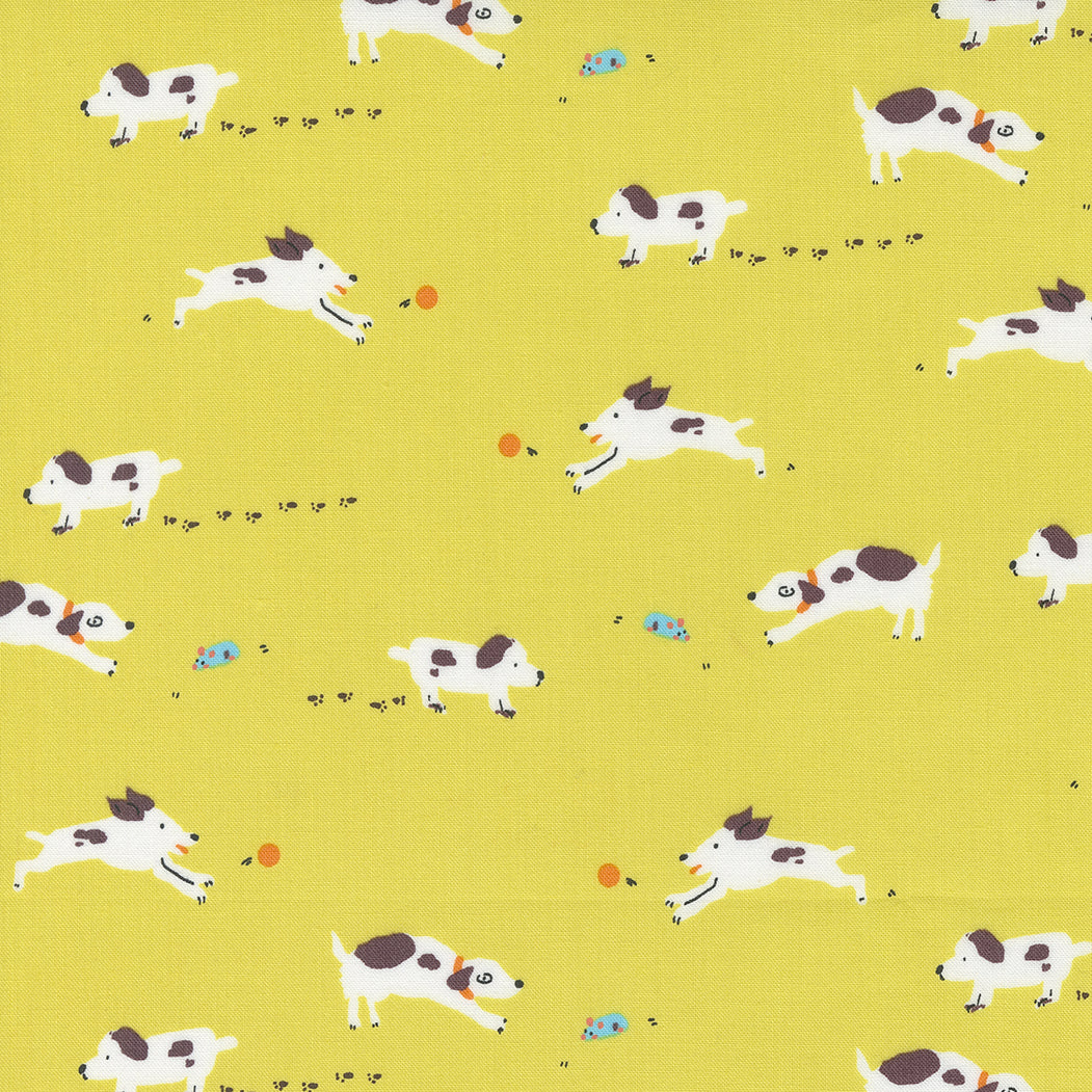 Puppy Dog Tails in Lemon Fizz | Pips