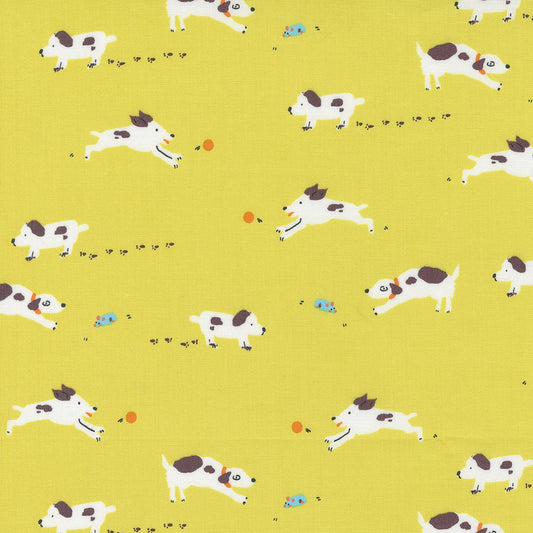 Puppy Dog Tails in Lemon Fizz | Pips