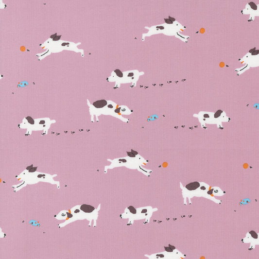 Puppy Dog Tails in Foxglove | Pips