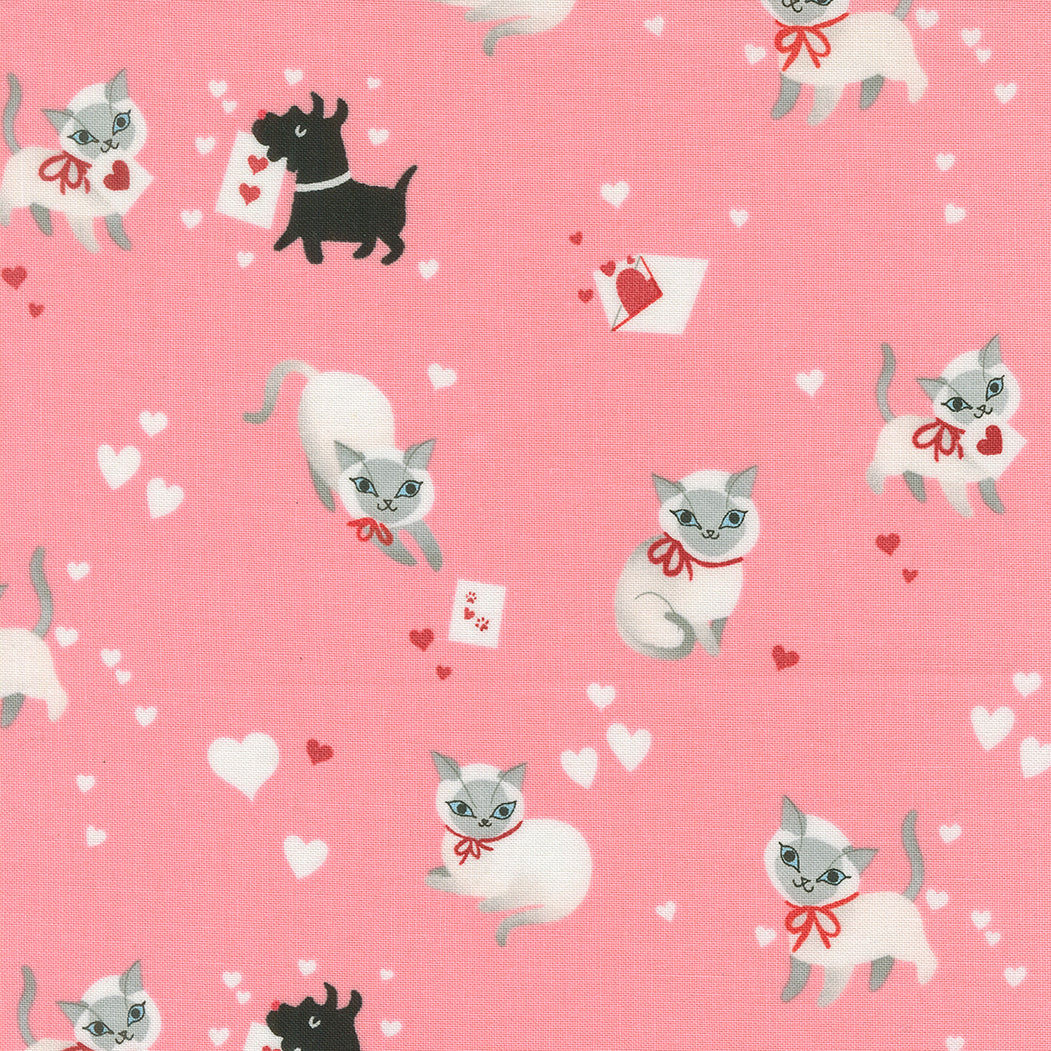 Kitty in Ballerina | Funny Valentine