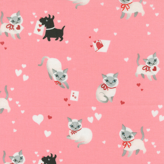 Kitty in Ballerina | Funny Valentine