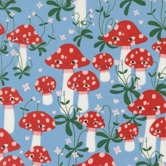 Mushrooms in Sky | Funny Valentine