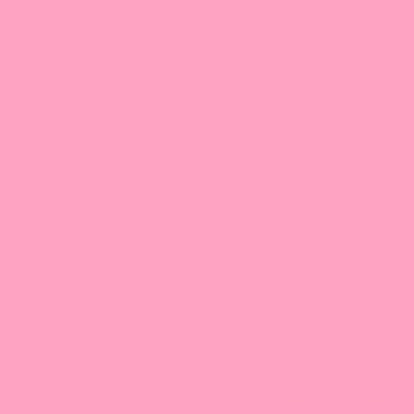 Posy | Ruby + Bee Solids