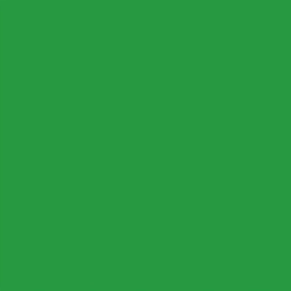 Evergreen | Ruby + Bee Solids