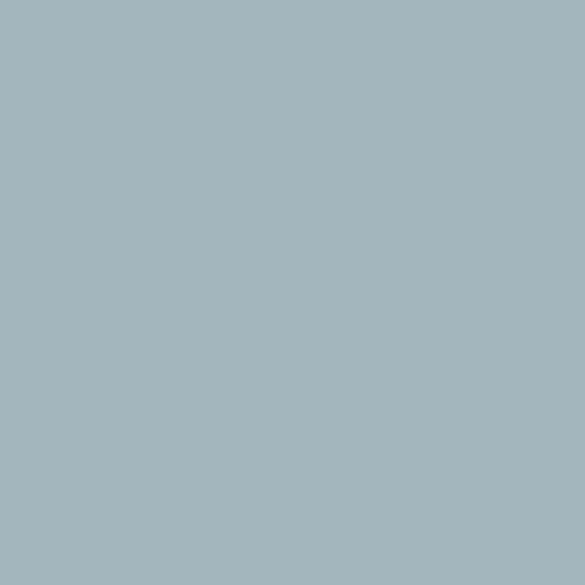 Rain Cloud | Ruby + Bee Solids
