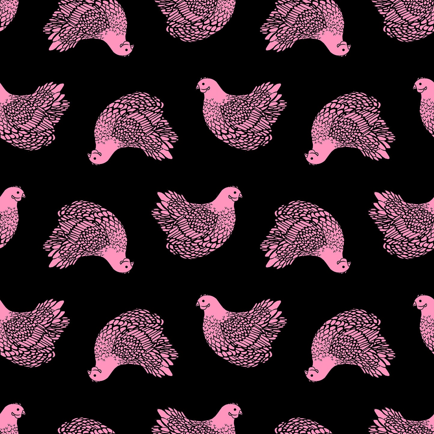 Chicken - Black | Backyard
