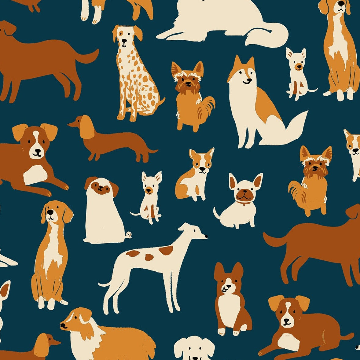 Dog Medley in Navy | Dog Park
