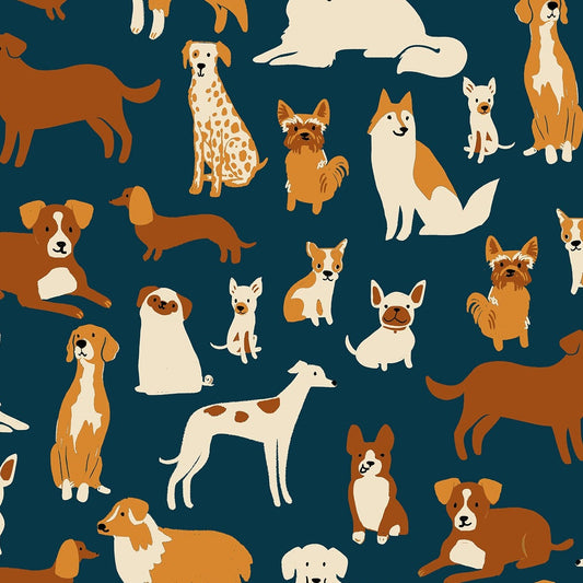 Dog Medley in Navy | Dog Park