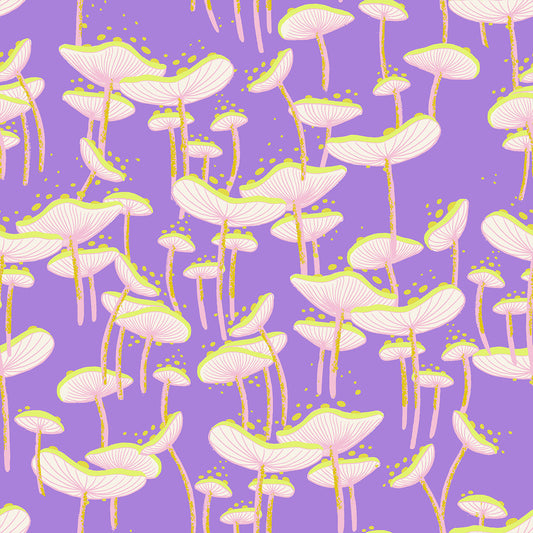Fungi in Amethyst | Glow Garden