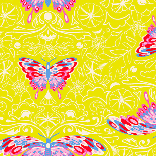 Morning Moth in Citron | Glow Garden