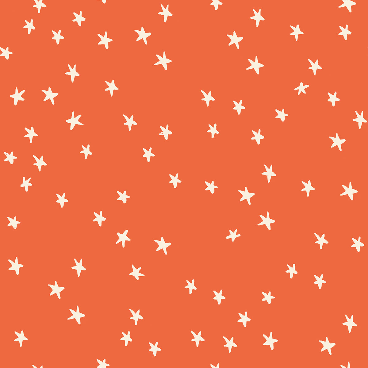 Nutmeg | Starry