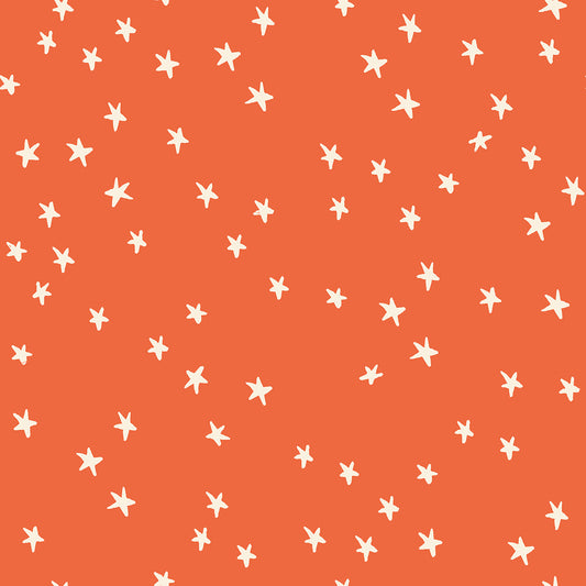 Nutmeg | Starry