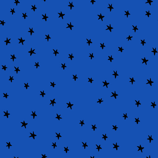 Blue Ribbon | Starry
