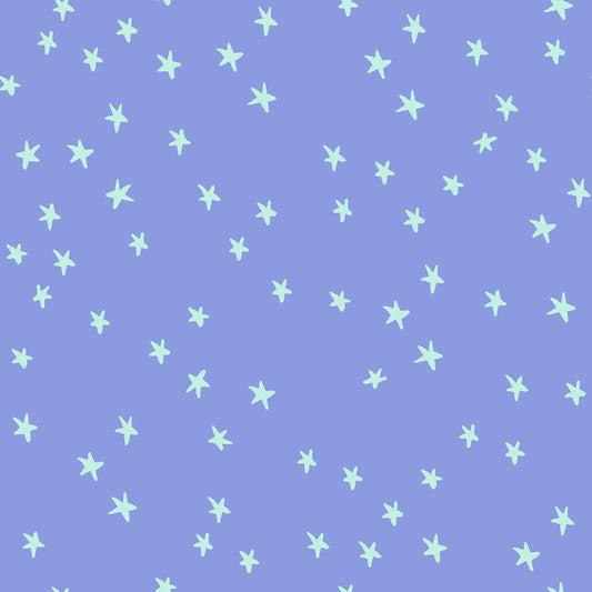 Dusk | Starry