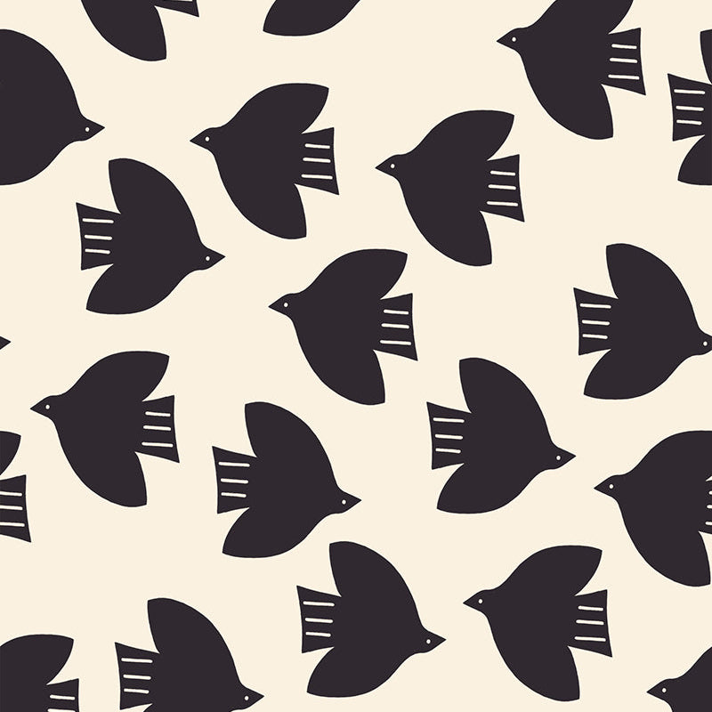 Birds in Natural | Catnap