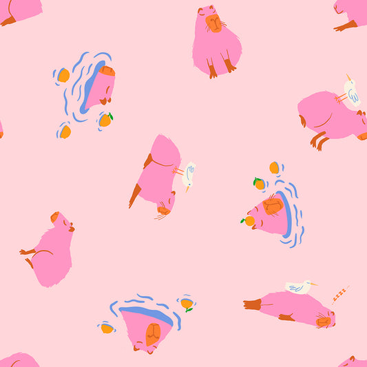 Capybara in Cotton Candy | Animal Animal