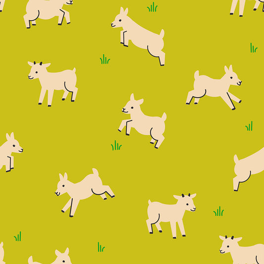 Baby Goats in Pistachio | Animal Animal