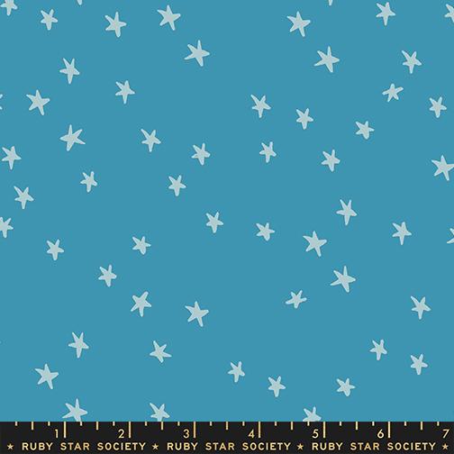 Vintage Blue | Starry