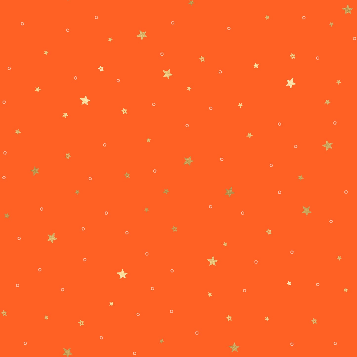 Tiny Stars in Florida | Birthday