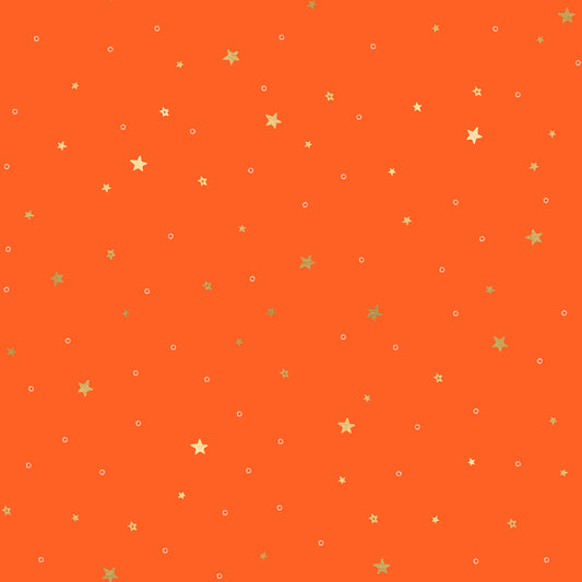 Tiny Stars in Florida | Birthday