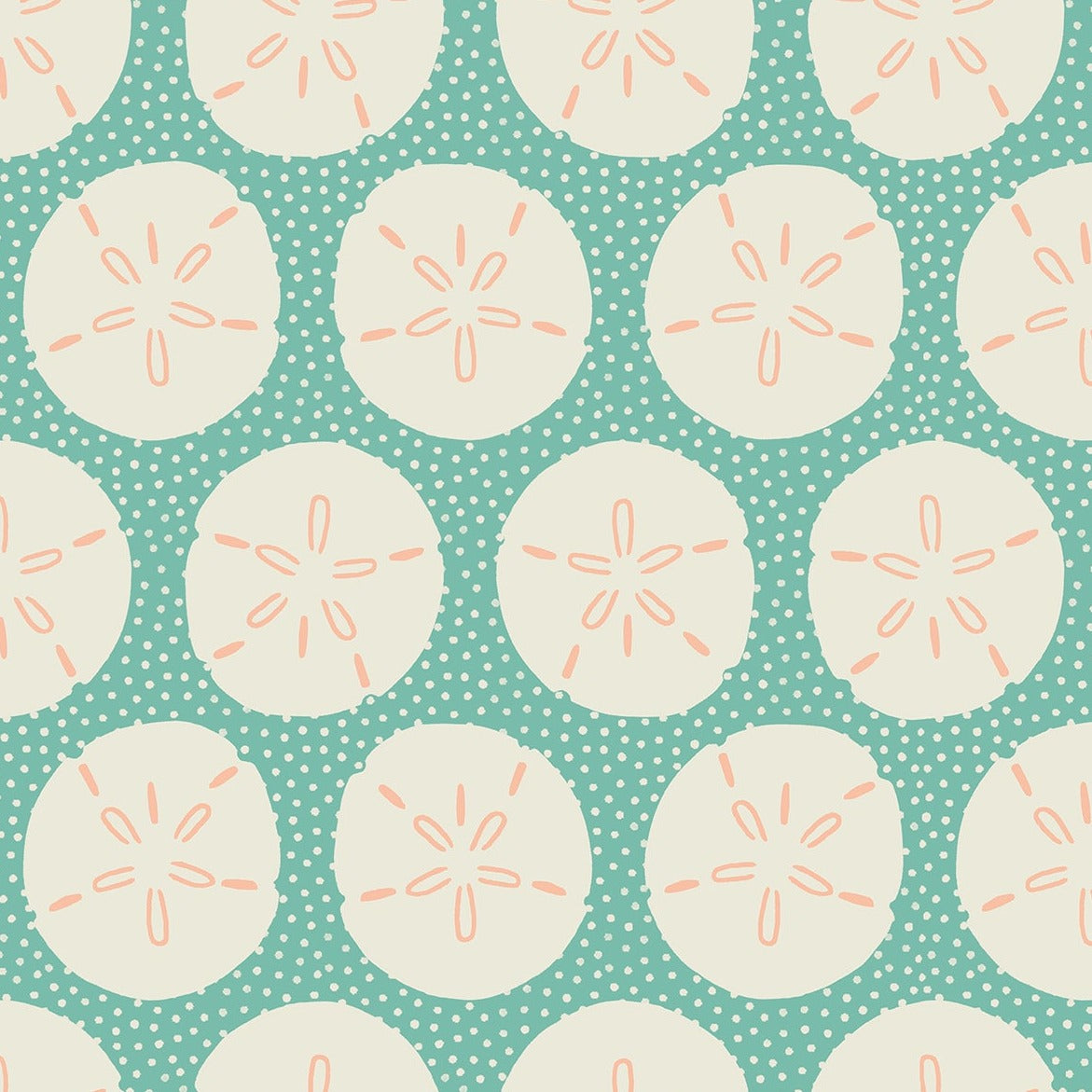 Sand Dollars in Water | Florida Vol. 2