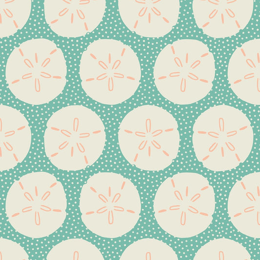 Sand Dollars in Water | Florida Vol. 2