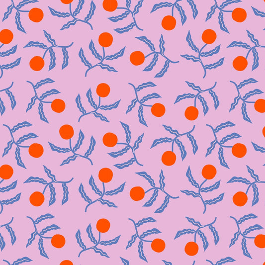 Sunplant in Macaron | Florida Vol. 2