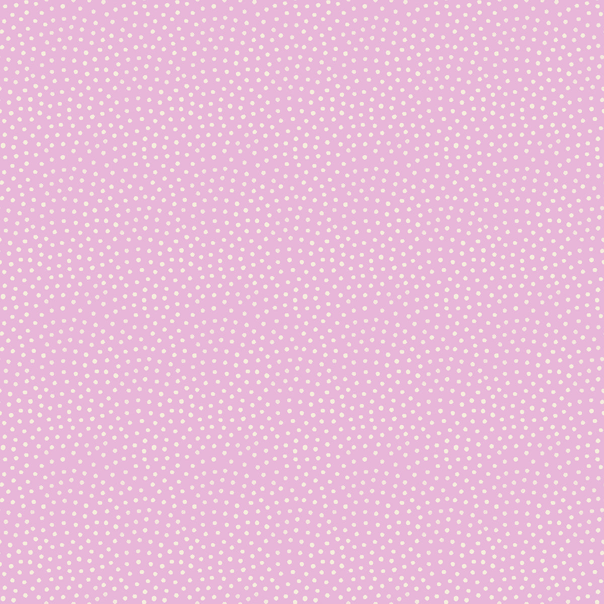 Sand in Macaron | Florida Vol. 2