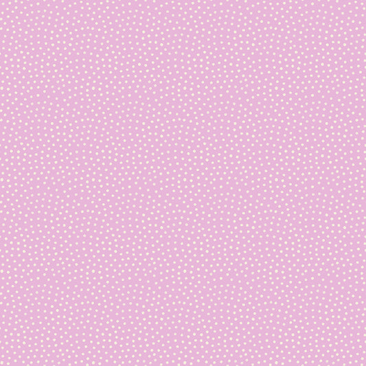 Sand in Macaron | Florida Vol. 2