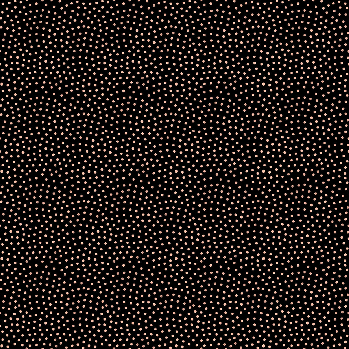 Sand in Black | Florida Vol. 2